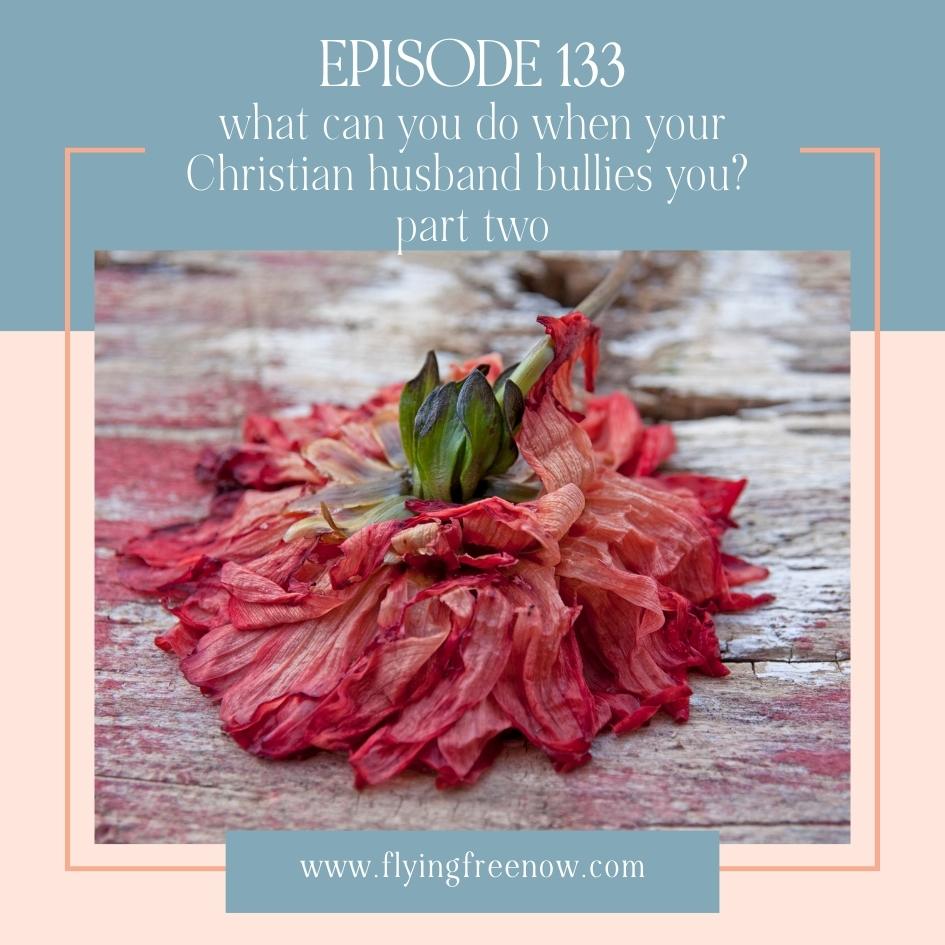 What You Can Do When Your Christian Husband Bullies You Part One