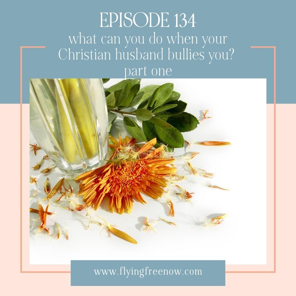 What You Can Do When Your Christian Husband Bullies You Part Two
