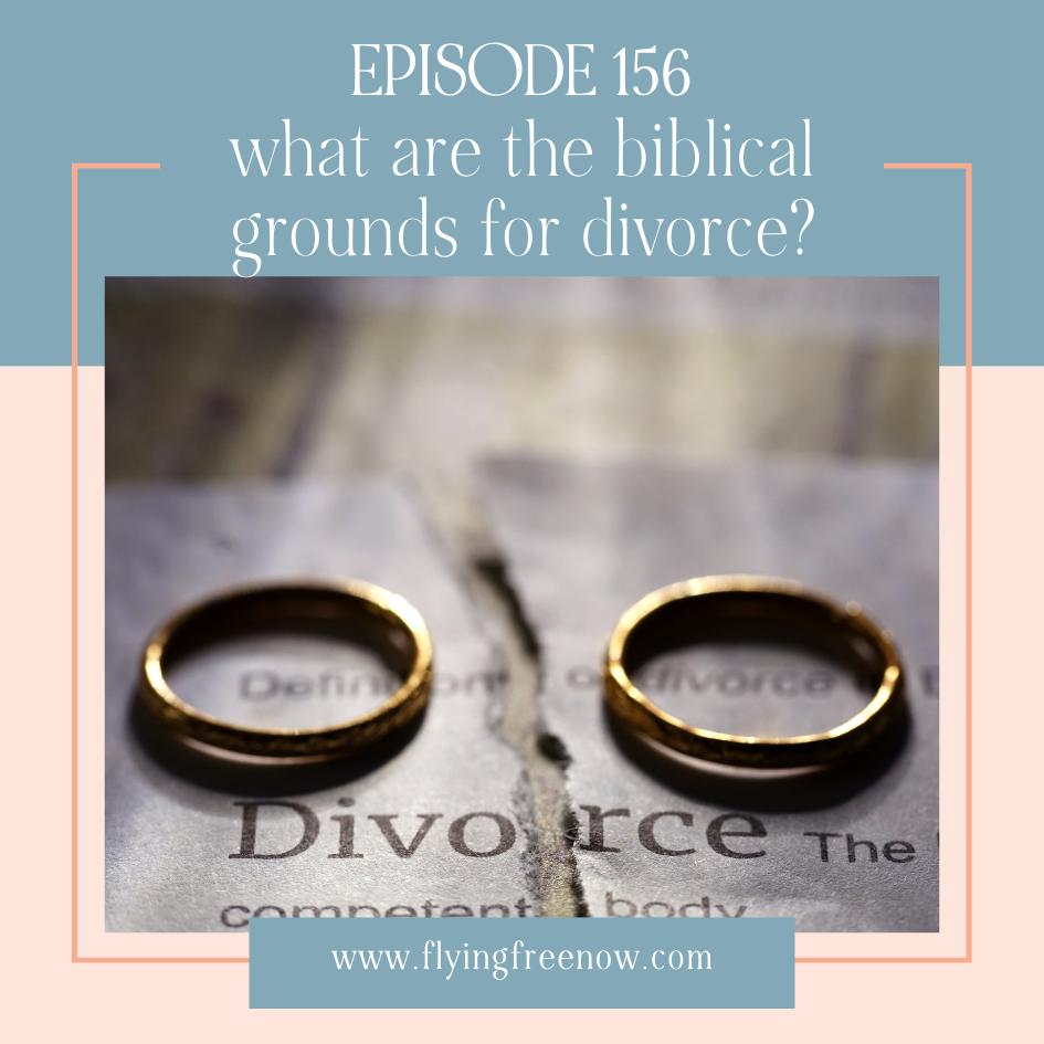 What Are the Biblical Grounds for Divorce? (And Other Questions!)