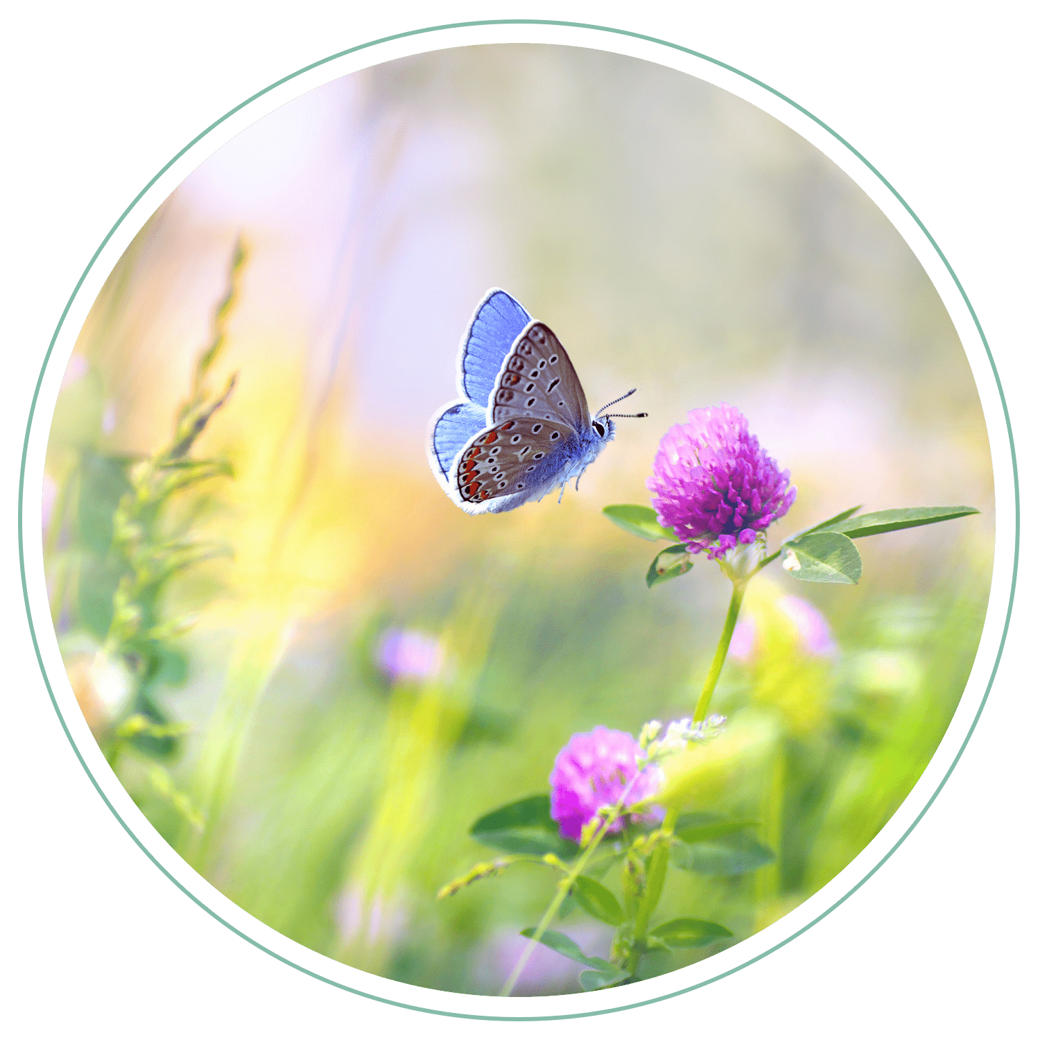featuredarticle